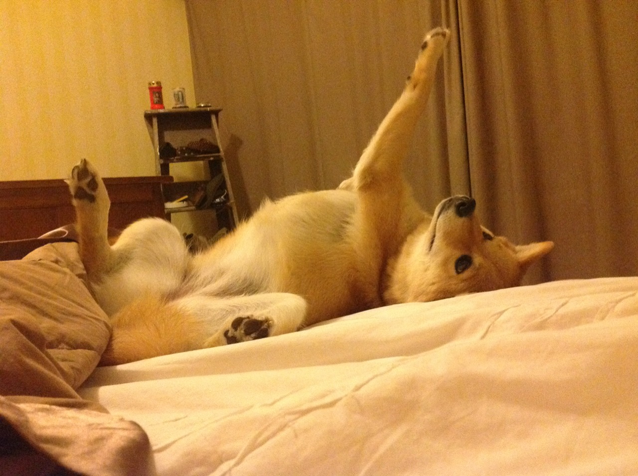 孔德刷新纪录之夜,马赛力克马德里竞技夺欧冠关键胜利