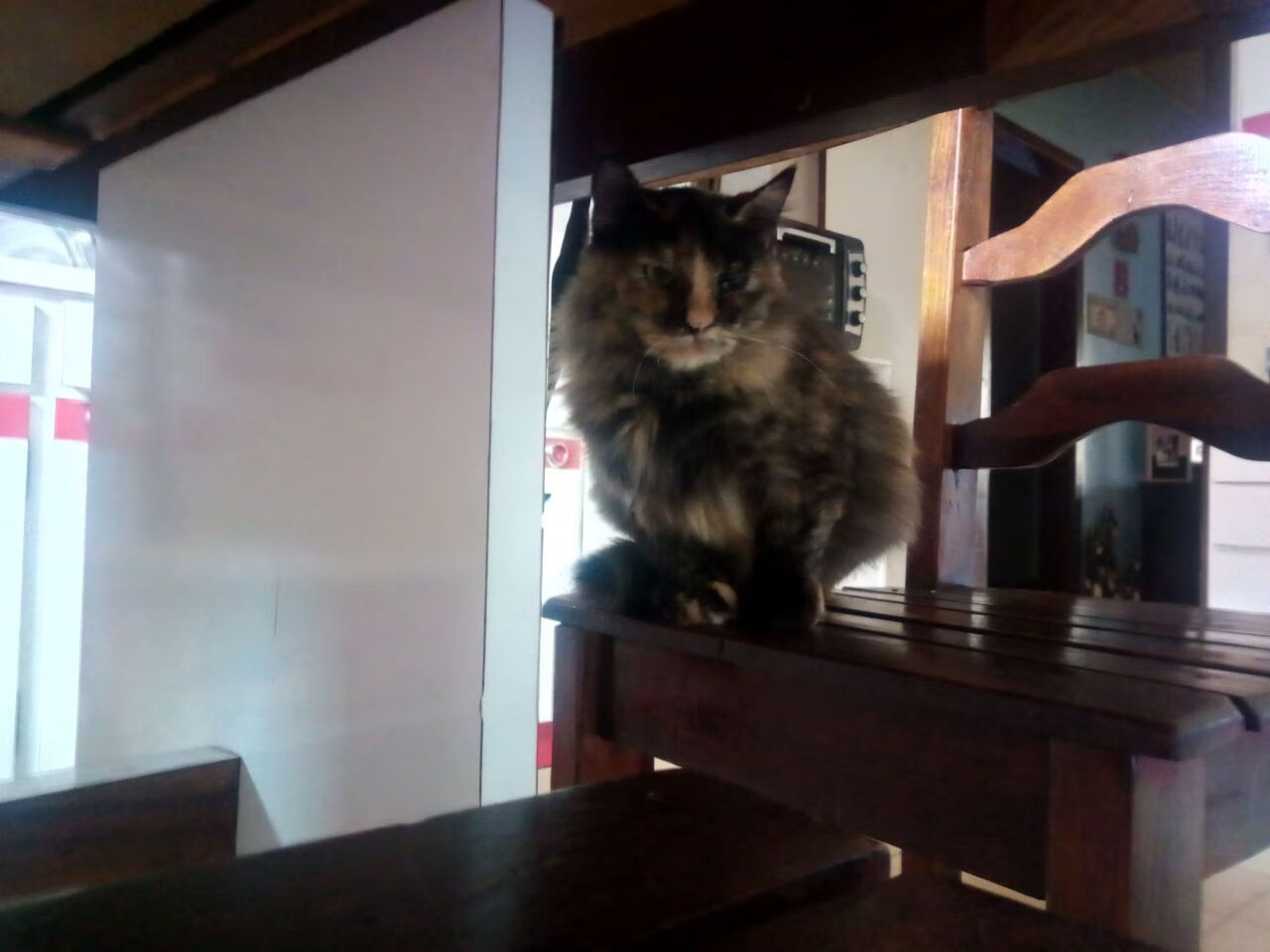 绿茵神祇的独舞,阿圭罗如何以血肉之躯,重写欧冠半决赛的法则